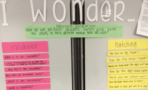 Student questions on a bulletin board under a title that says "I wonder..."