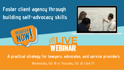 Foster client agency through building self-advocacy skills: A practical strategy for lawyers, advocates, and service providers – Session 2