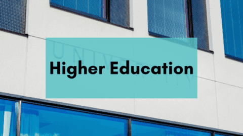 The Question Formulation in Higher Education: A Collection of Classroom Examples